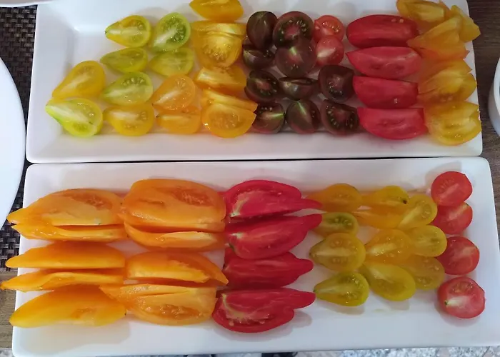 Frühstückspension Nihad Visoko